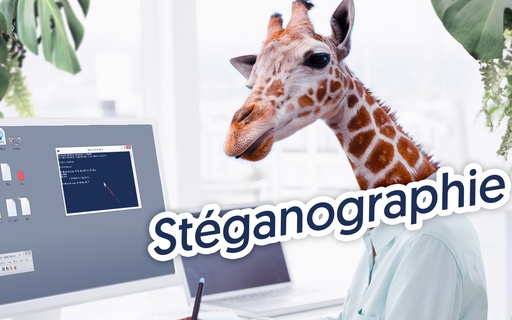 La stéganographie, une technique souvent oubliée cover