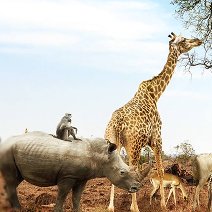 Interview TheExpertE - Bérénice K. cover