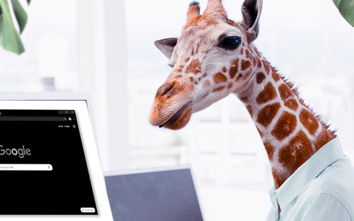 Corrections des bugs applicatifs de Google Chrome cover