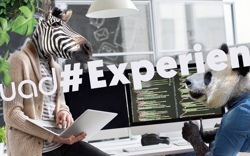 Squad#Experience – De chargée de mission R&D à responsable d'audits, voici le parcours d'Amandine ! cover