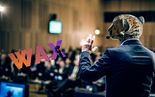 Wax Conf 2023: debriefing! cover