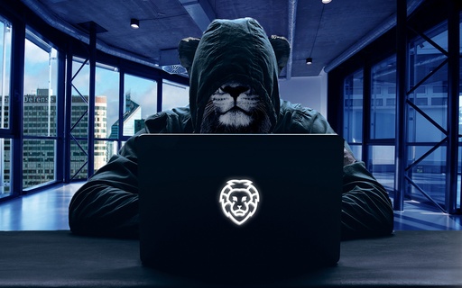 Toulouse Hacking Convention 2023: a look back at two days of conferences cover