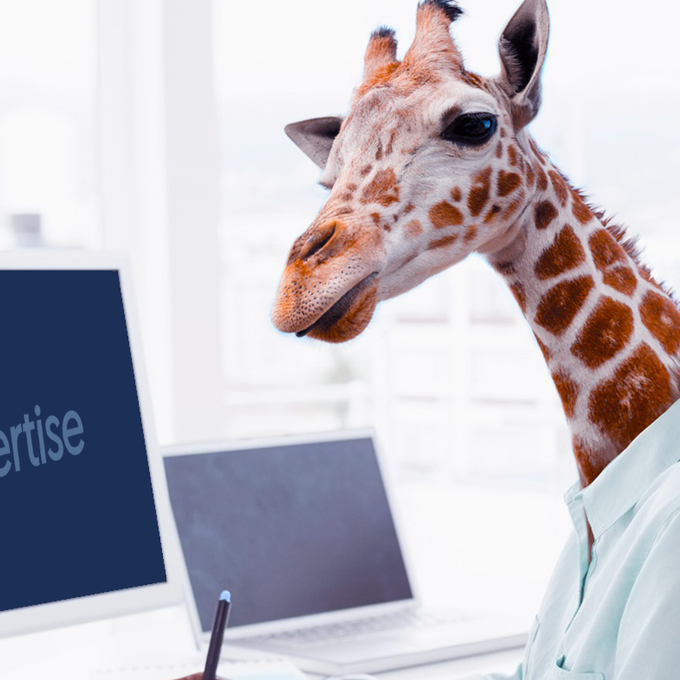 Remote work : the new normal? cover