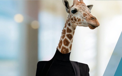 Squad joins CEFCYS and strengthens its commitment to diversity in cybersecurity cover