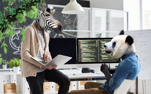 Compétitions CTF : interview de Yoann Moreau cover