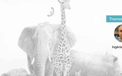 #TheExpert - Thomas Hurreau, a dedicated Linux engineer! cover