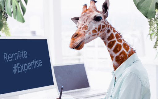 Companies are making remote work the norm cover